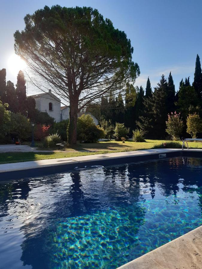 Remy A Dit Saint-Rémy-de-Provence Exterior foto