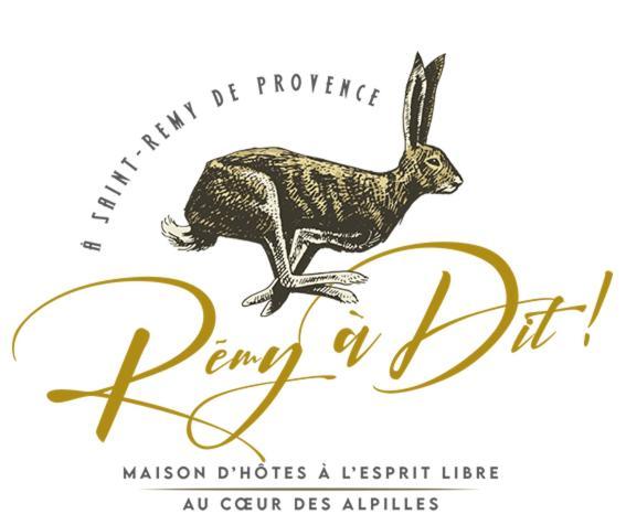Remy A Dit Saint-Rémy-de-Provence Exterior foto