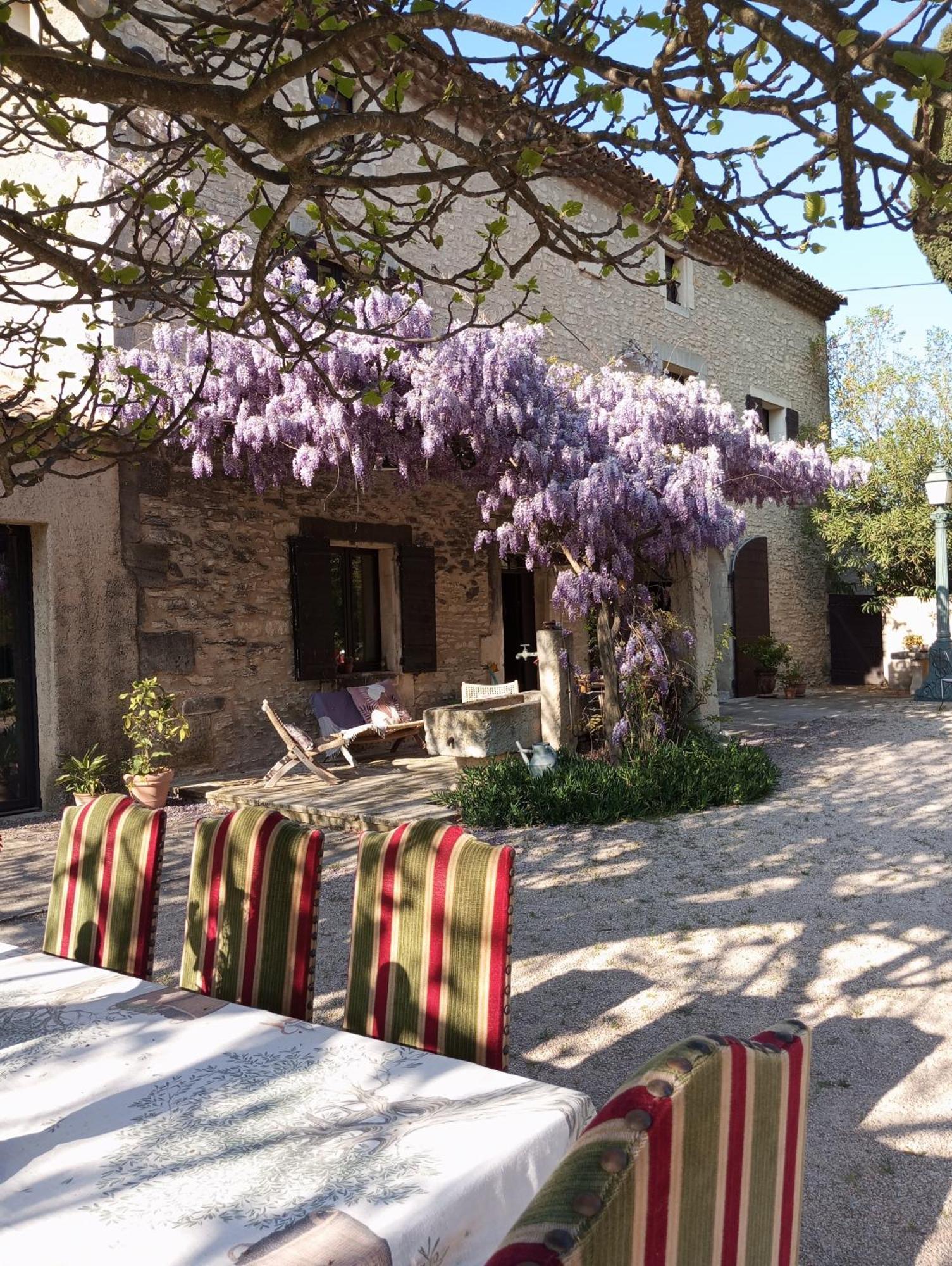 Remy A Dit Saint-Rémy-de-Provence Exterior foto