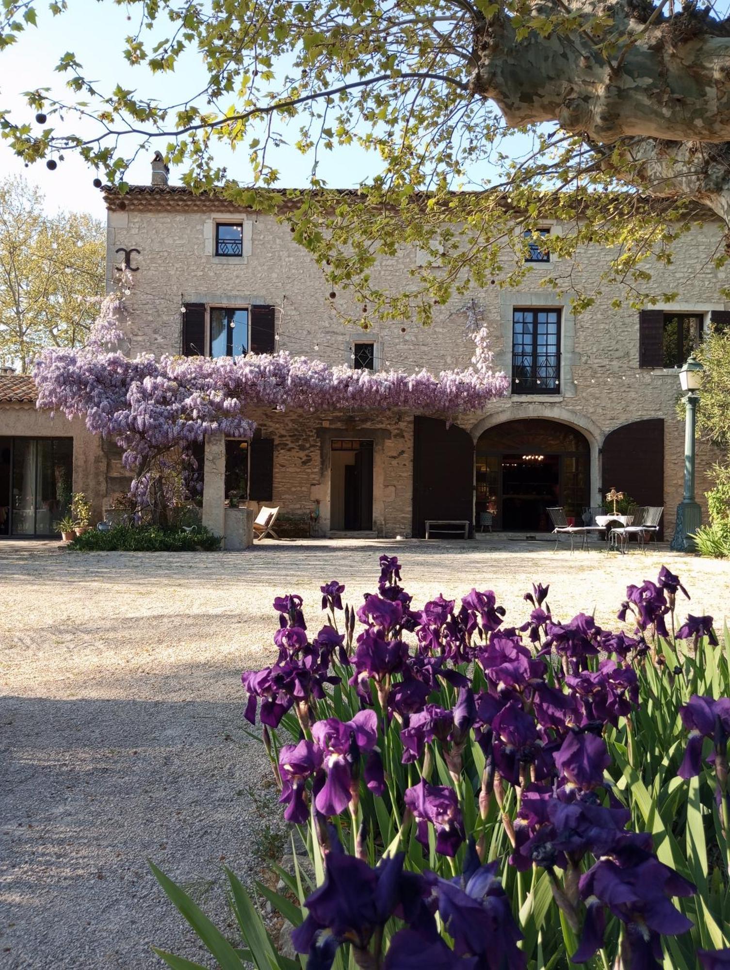 Remy A Dit Saint-Rémy-de-Provence Exterior foto